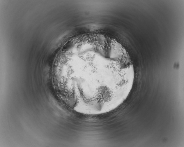 X0000113760650200910211210