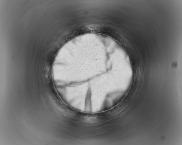 X0000113760651200910211210