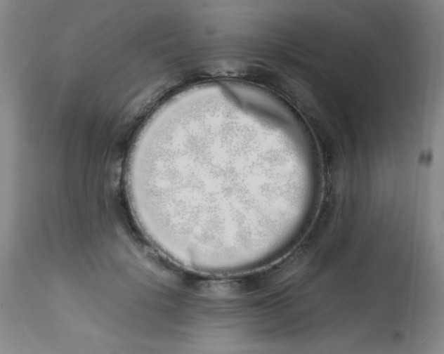 X0000113760652200910211210