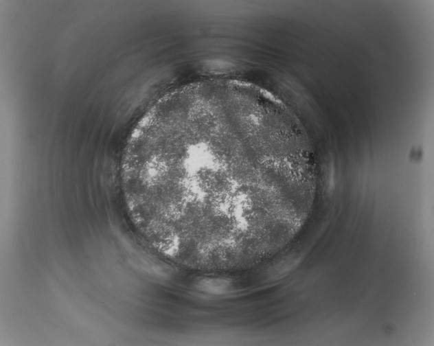 X0000113760653200910211210