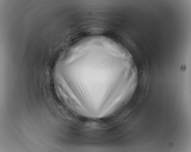 X0000113760655200910211210