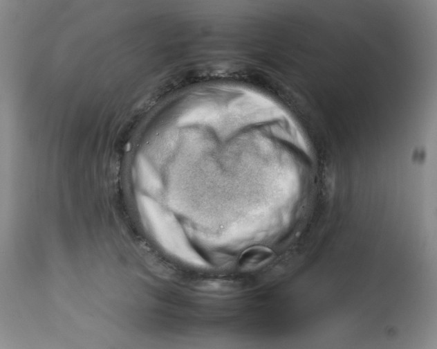 X0000113760657200910211210