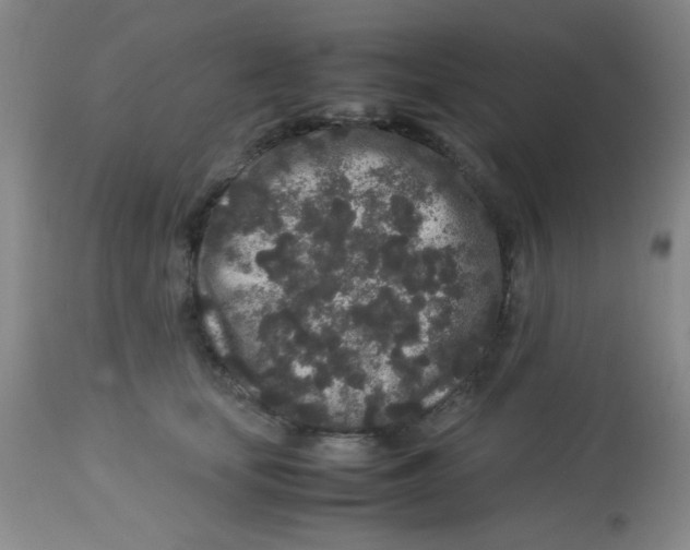 X0000113760659200910211210
