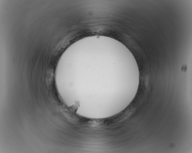 X0000113760660200910211210