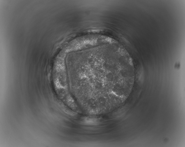 X0000113760661200910211210