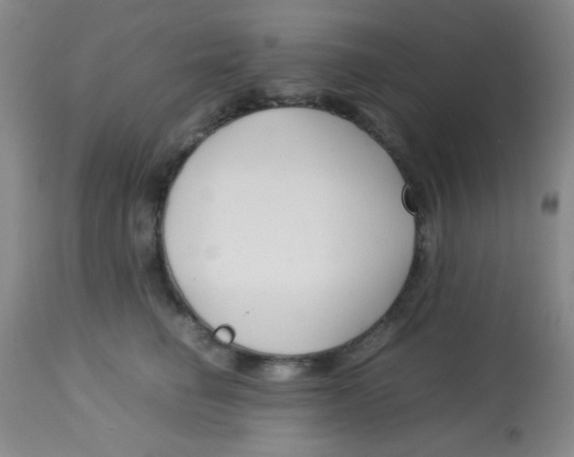 X0000113760662200910211210