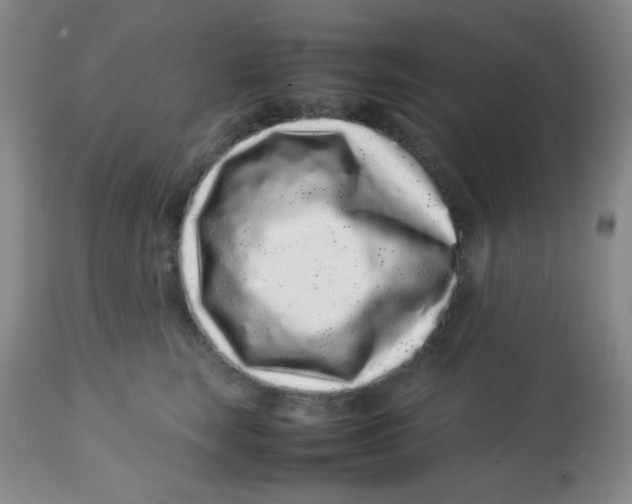 X0000113760663200910211210