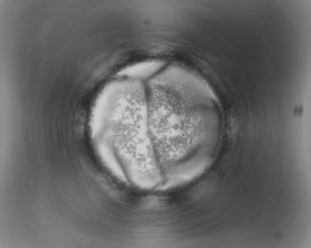 X0000113760664200910211210