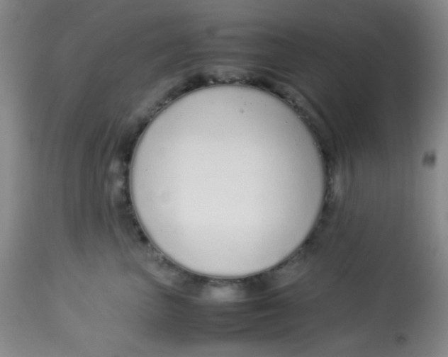 X0000113760667200910211210