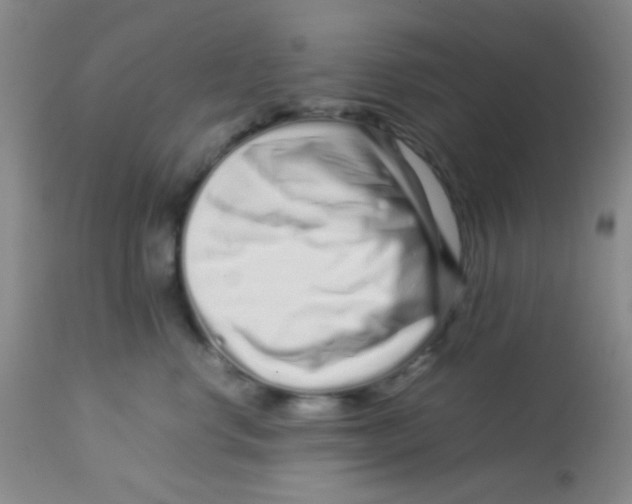 X0000113760668200910211210