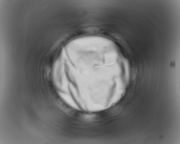 X0000113760669200910211210
