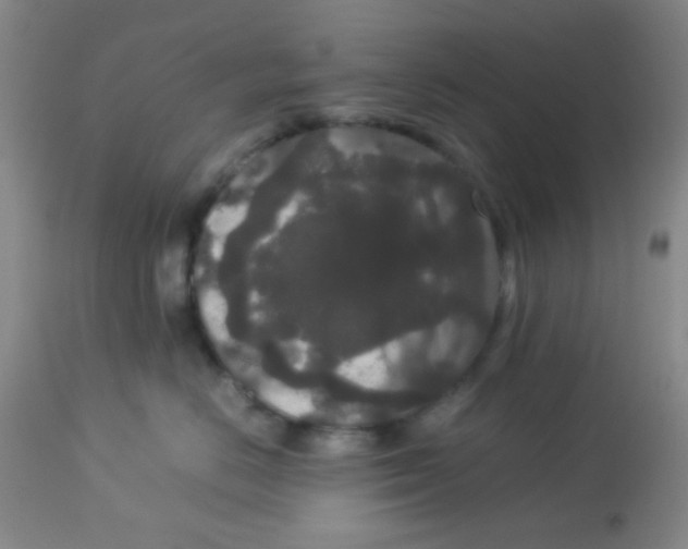 X0000113760670200910211210