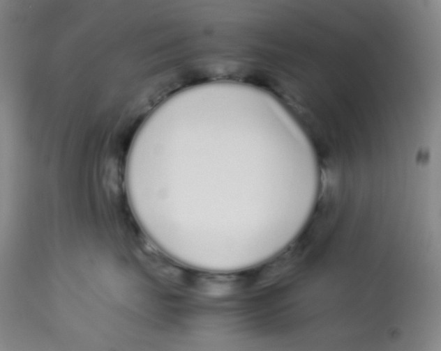 X0000113760671200910211211