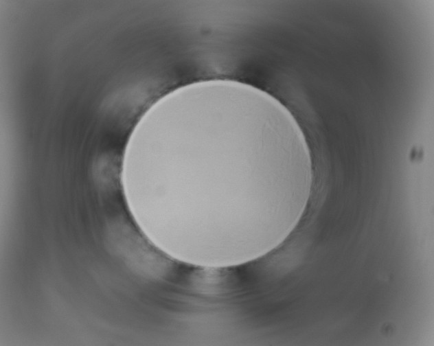 X0000113760672200910211211