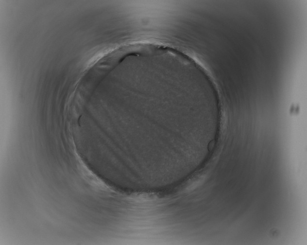X0000113760673200910211210
