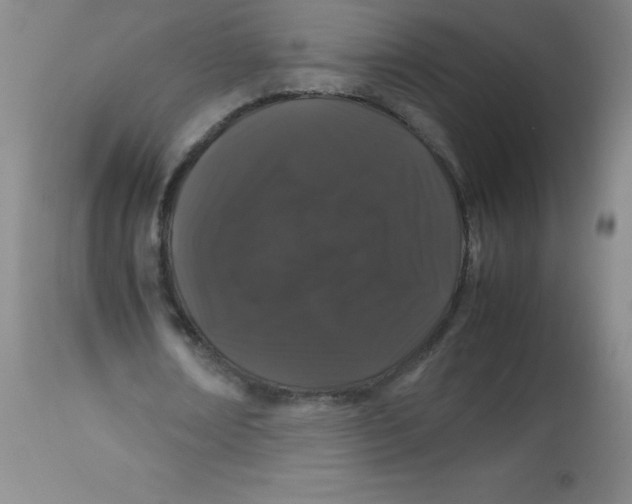 X0000113760674200910211210