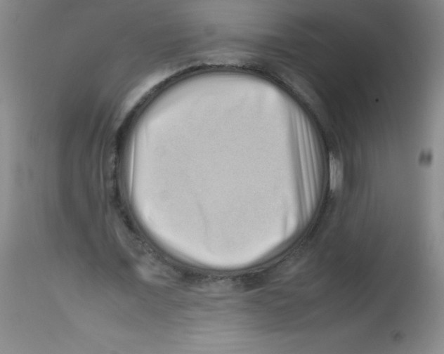 X0000113760675200910211210