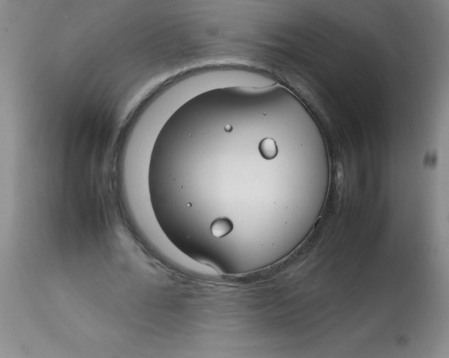 X0000113760676200910211210