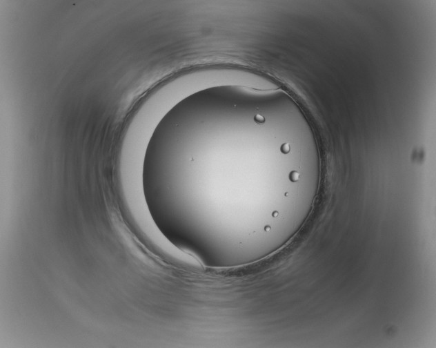 X0000113760677200910211210