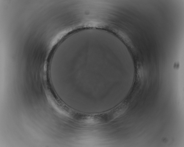 X0000113760678200910211210