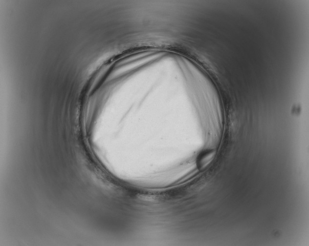 X0000113760679200910211210