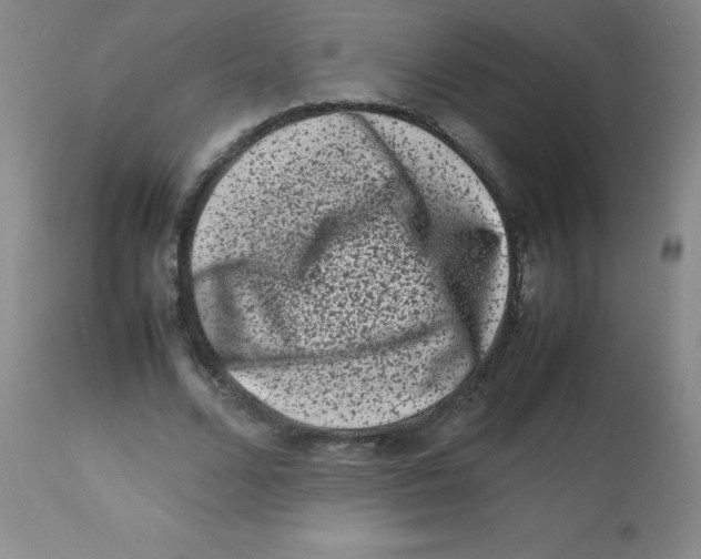 X0000113760680200910211210