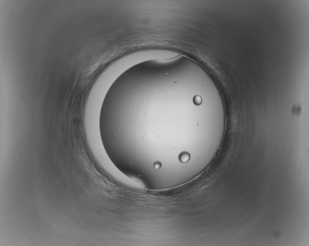 X0000113760681200910211210
