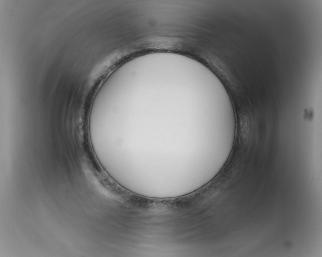 X0000113760682200910211210