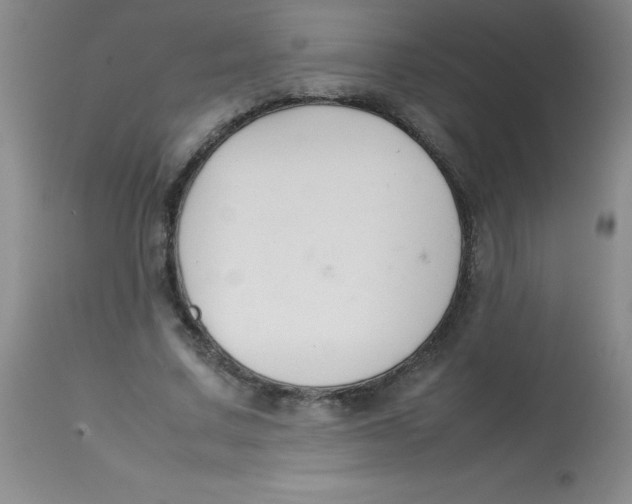 X0000113760683200910211210