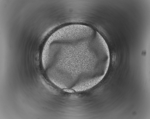 X0000113760684200910211210