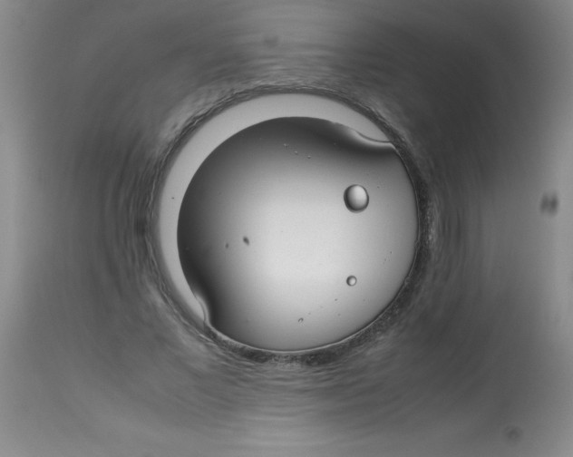 X0000113760685200910211210