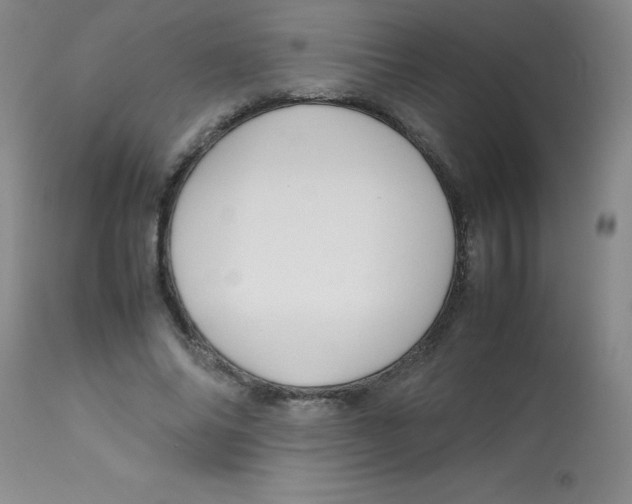 X0000113760686200910211210