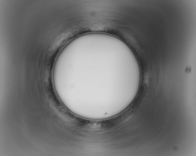 X0000113760687200910211210