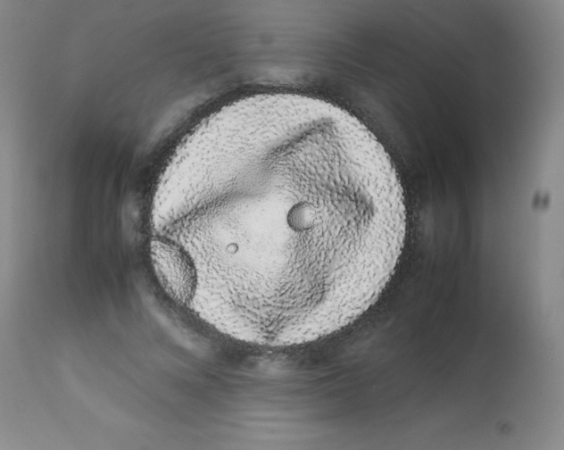 X0000113760688200910211210
