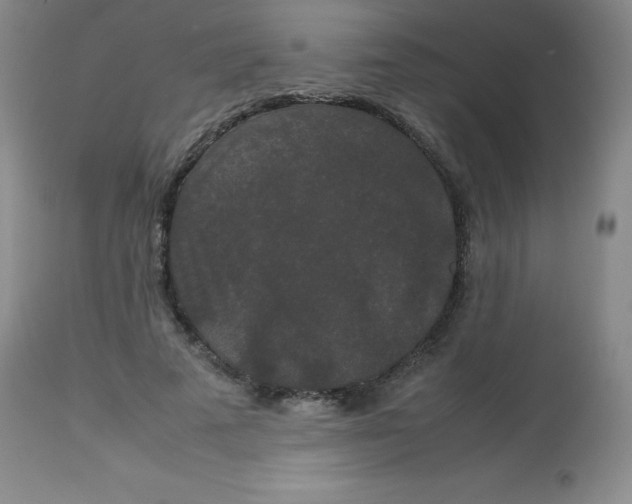 X0000113760689200910211210