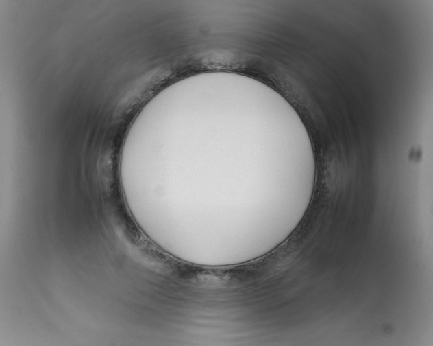 X0000113760690200910211210