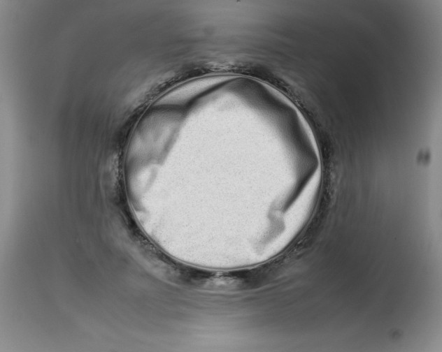 X0000113760691200910211210
