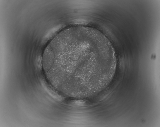 X0000113760692200910211210