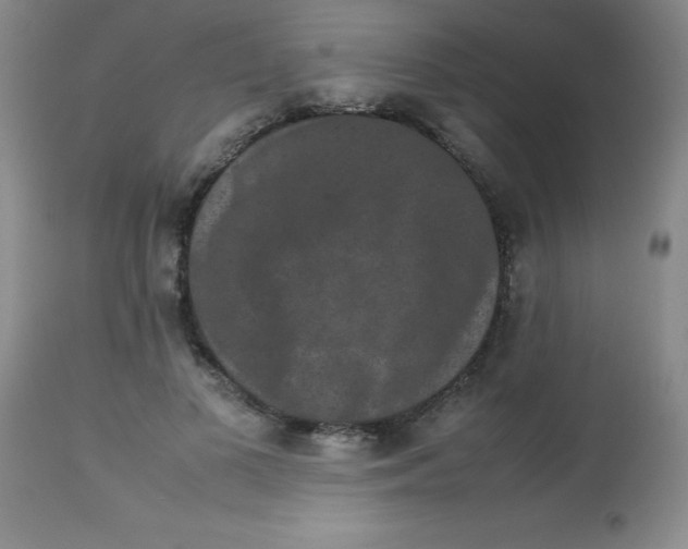 X0000113760693200910211210