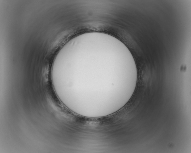 X0000113760694200910211210