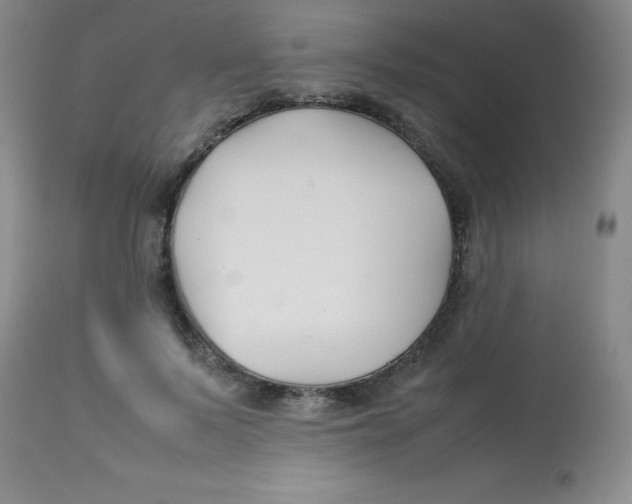 X0000113760695200910211210