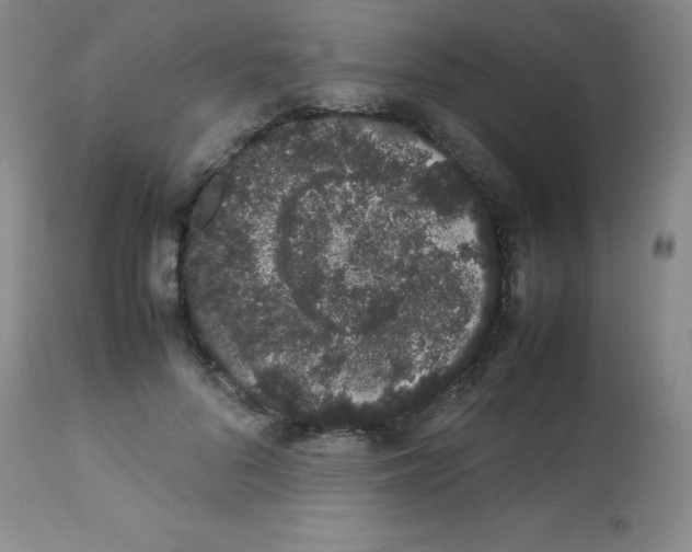 X0000113760696200910211210