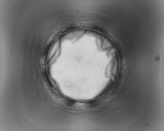 X0000113760699200910211209