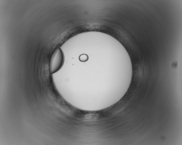 X0000113760700200910211209