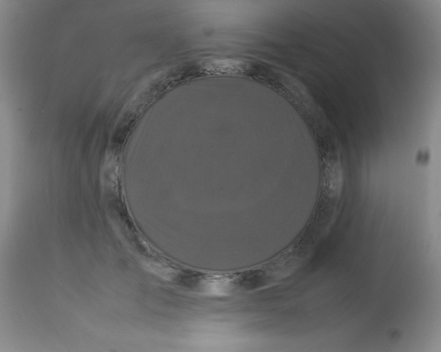 X0000113760701200910211209