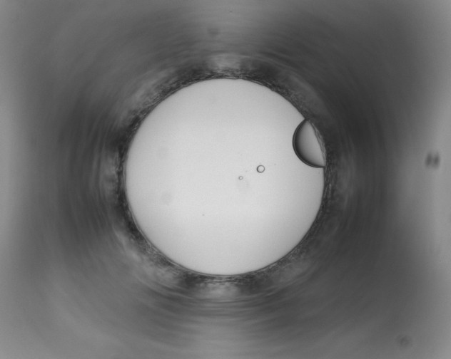X0000113760702200910211209