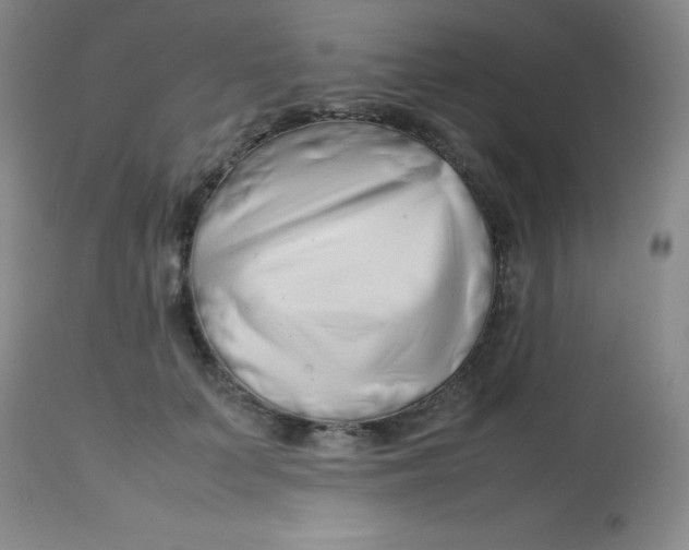 X0000113760703200910211209
