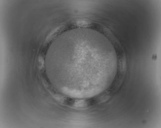X0000113760705200910211209