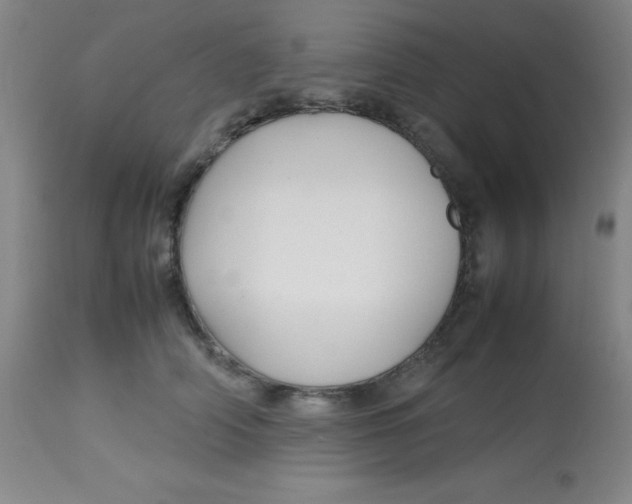X0000113760706200910211209