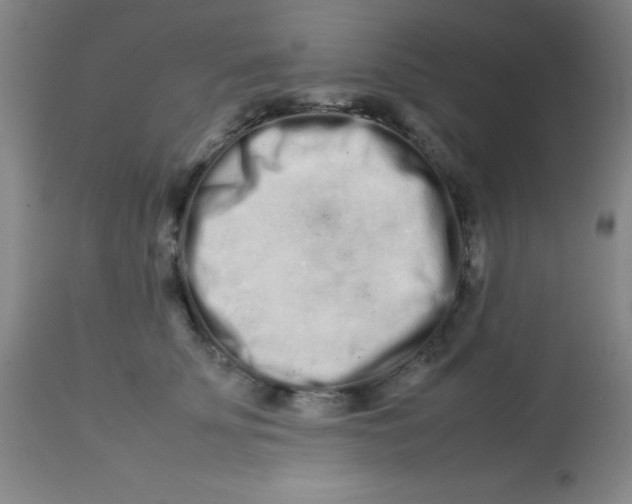 X0000113760707200910211209